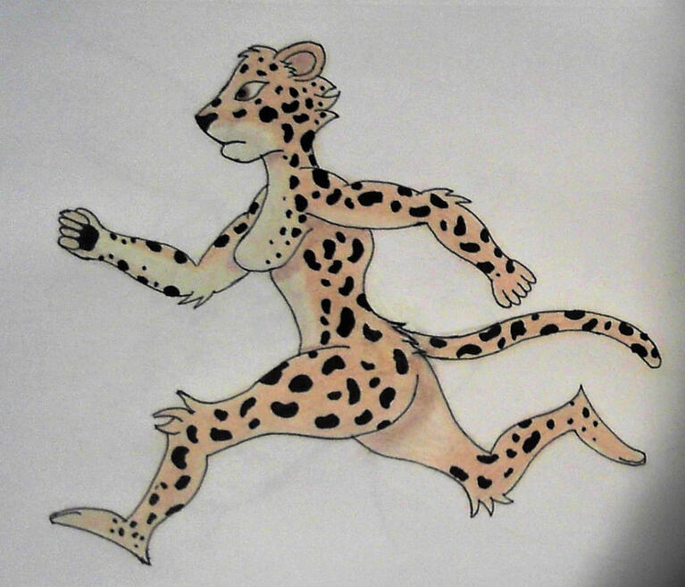 Running Cheetah